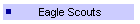 Eagle Scouts